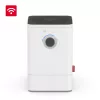 BONECO W400 S SMART Légmosó