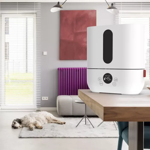 BONECO U250 Ultrahangos párásító