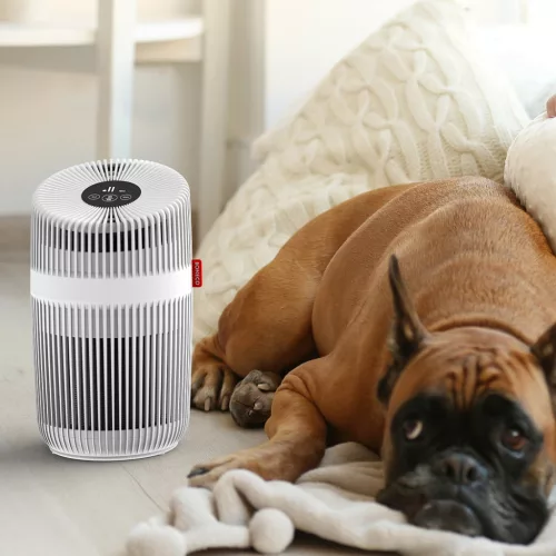 BONECO P230 Légtisztító HEPA szűrős