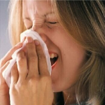 Légúti allergia a környezetünkben