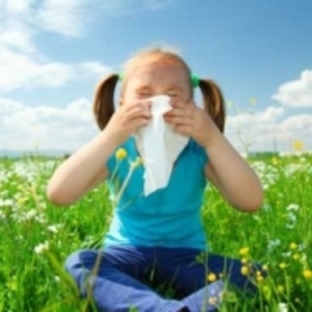 Légúti allergiás? Ne szenvedjen!	